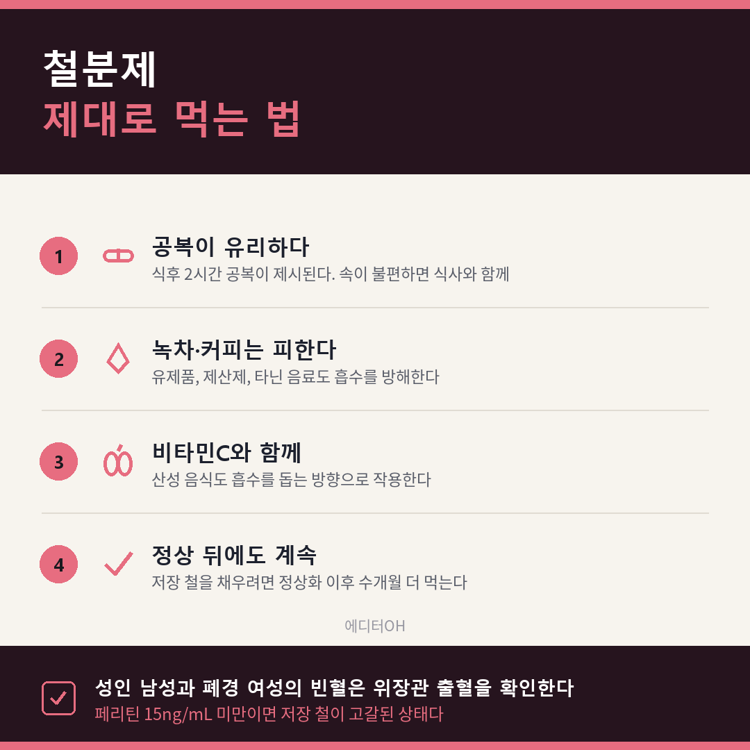 철결핍성 빈혈 철분제 복용 네 가지
