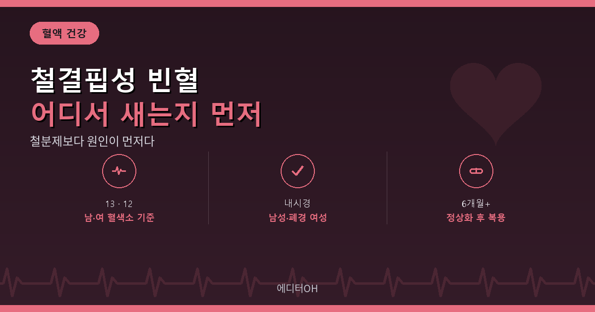 철결핍성 빈혈 원인 확인과 철분제 복용
